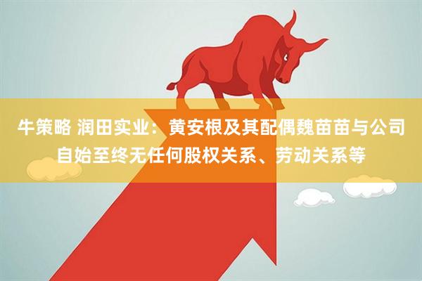 牛策略 润田实业：黄安根及其配偶魏苗苗与公司自始至终无任何股权关系、劳动关系等