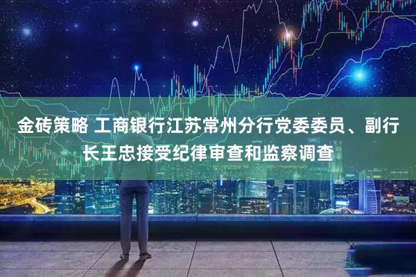 金砖策略 工商银行江苏常州分行党委委员、副行长王忠接受纪律审查和监察调查