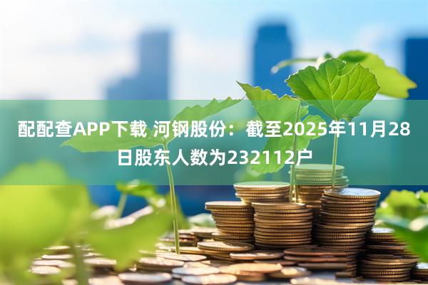配配查APP下载 河钢股份：截至2025年11月28日股东人数为232112户