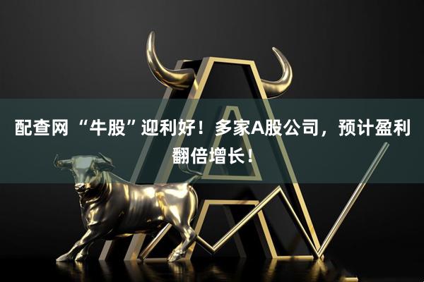配查网 “牛股”迎利好！多家A股公司，预计盈利翻倍增长！